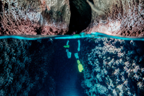 guia-profesional-snorkel
